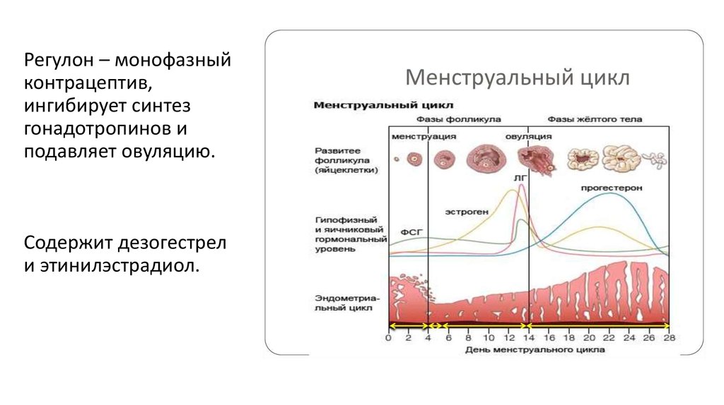 Регулон схема приема