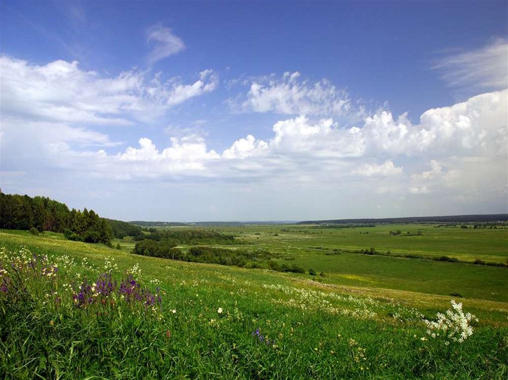 Картинка широка страна моя родная