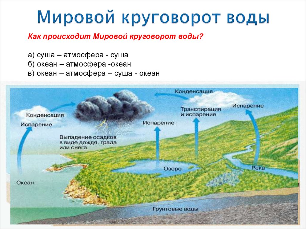 Проект мировой круговорот воды