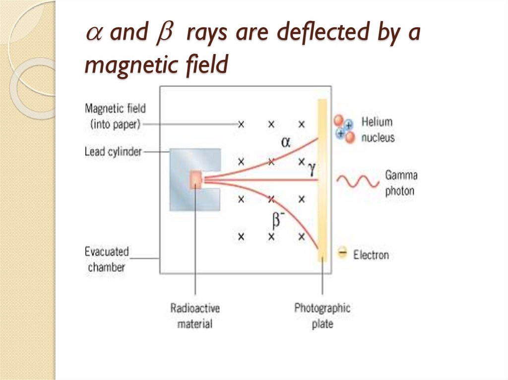  and  rays are deflected by a magnetic field