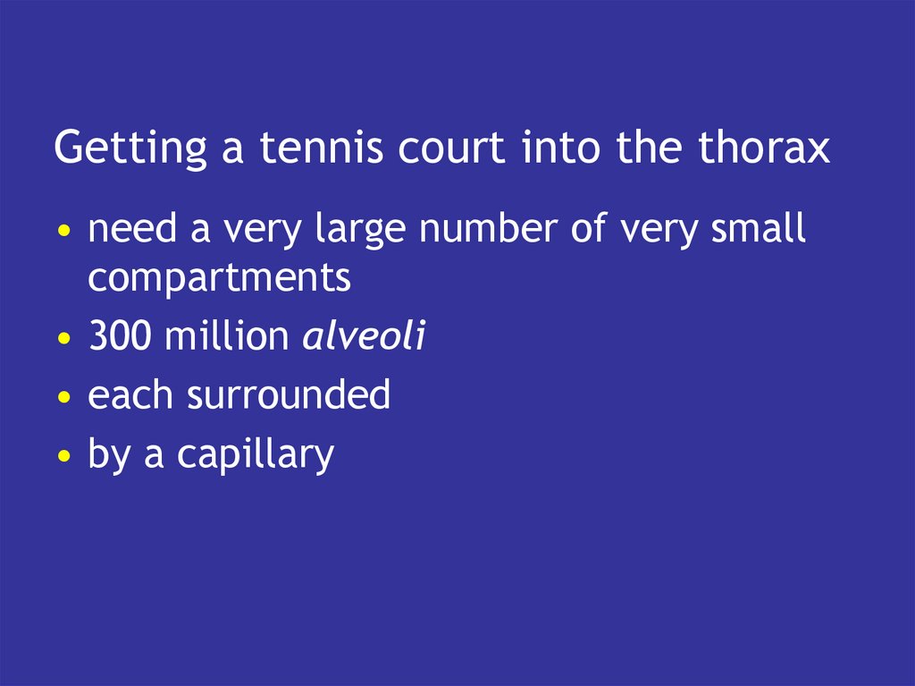 Getting a tennis court into the thorax