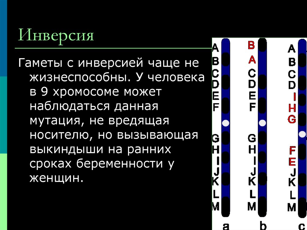 Инверсия цветов картинки онлайн