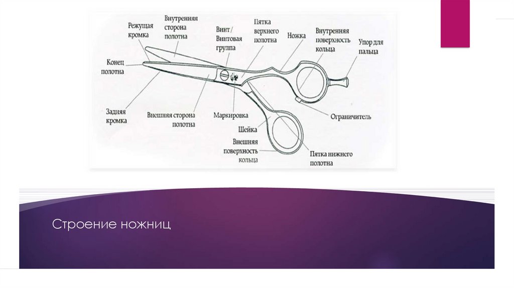 Ножницы парикмахерские схема