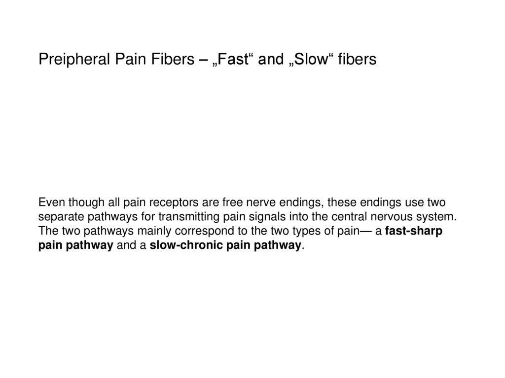 Preipheral Pain Fibers – „Fast“ and „Slow“ fibers