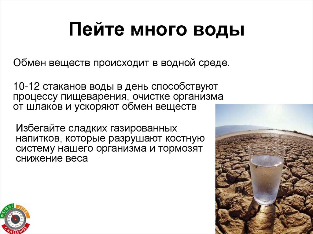 Как Правильно Пить Воду При Диете