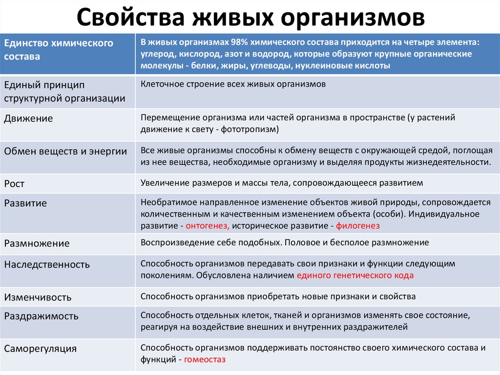 На рисунке изображены связи растения с окружающей средой какое общее свойство живых систем огэ