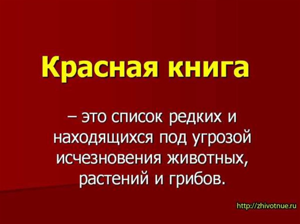 Презентация на тему красная книга россии 5 класс