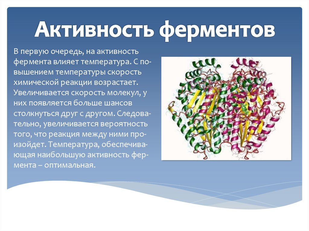 Проект по химии на тему ферменты