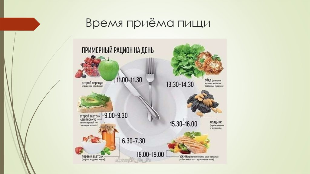 Расписание Времени Правильного Питания