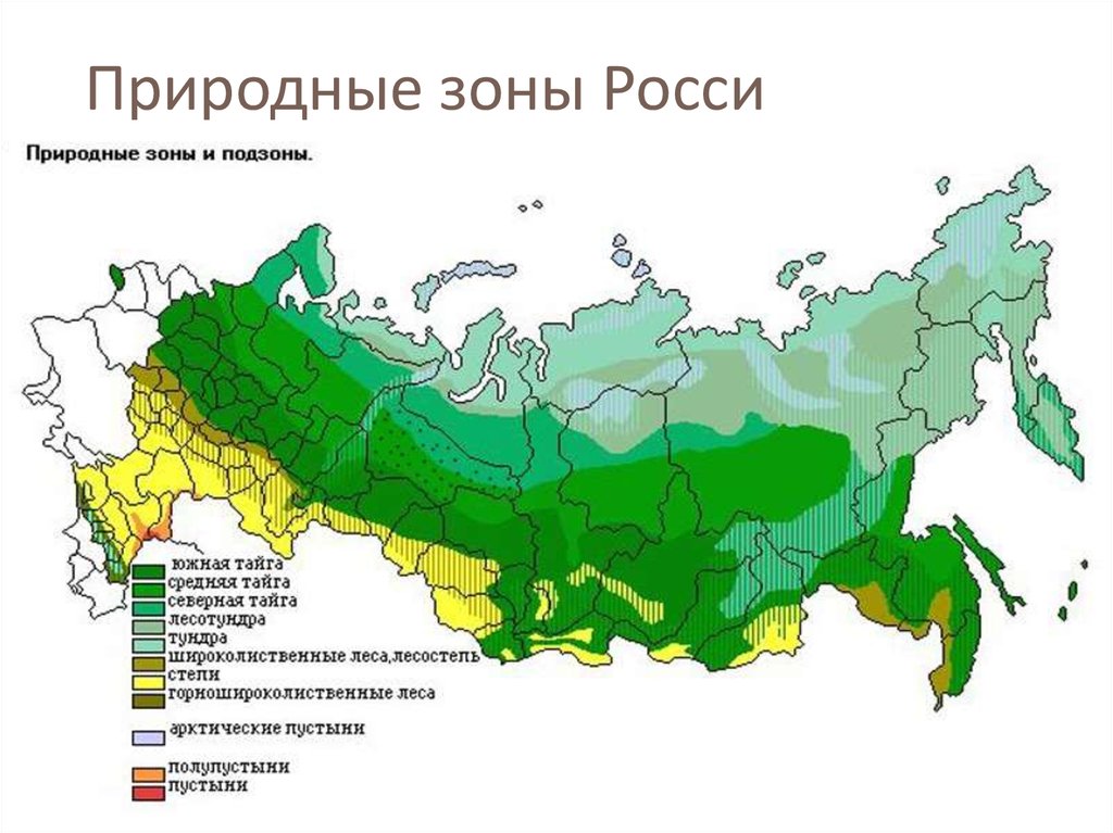 Магазин Мясо На Степной В Новосибирске