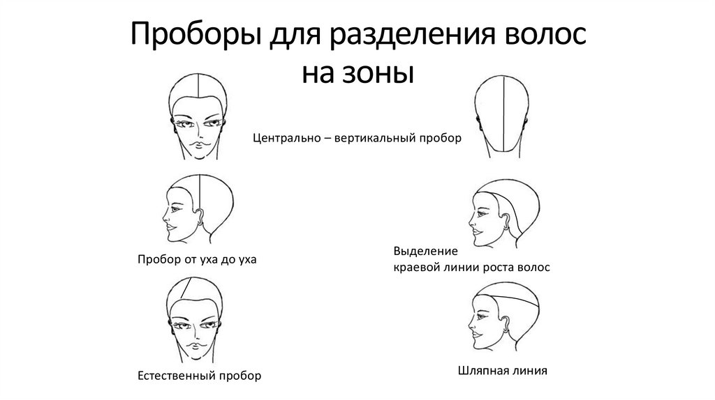 Вертикальный пробор головы для парикмахеров схема