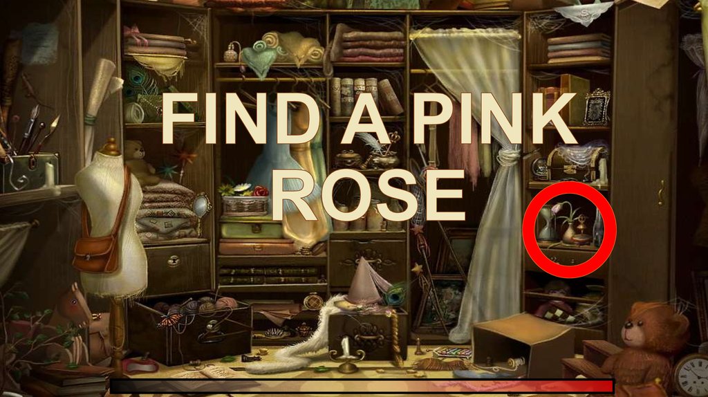 FIND A PINK ROSE