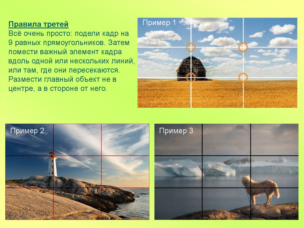 Композиция в фотографии презентация