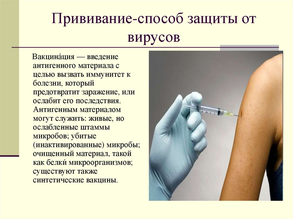 Анальная прививка от всех вирусов