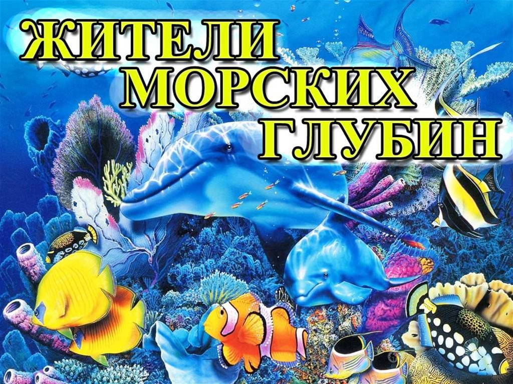 Презентация подводный мир морей и океанов