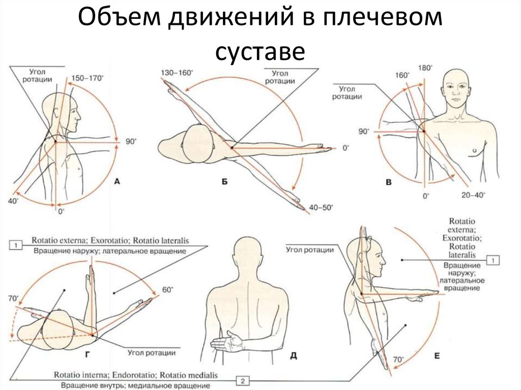 Вибратор С Функцией Ротации