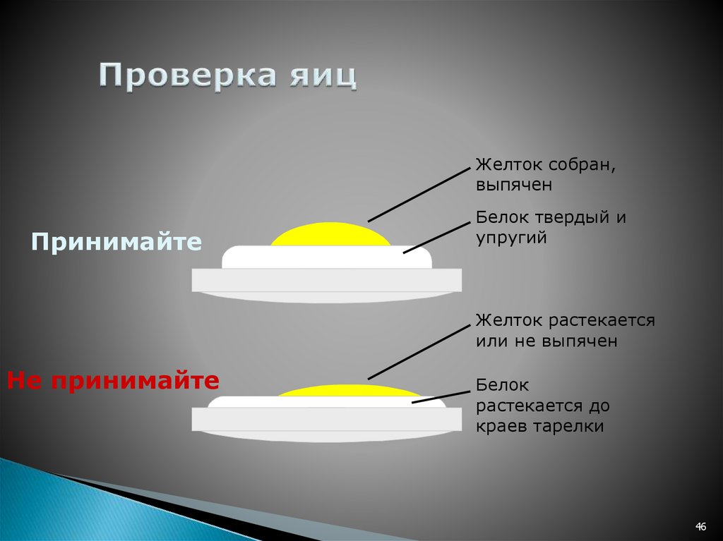 Смотреть Порно Проверка Яиц