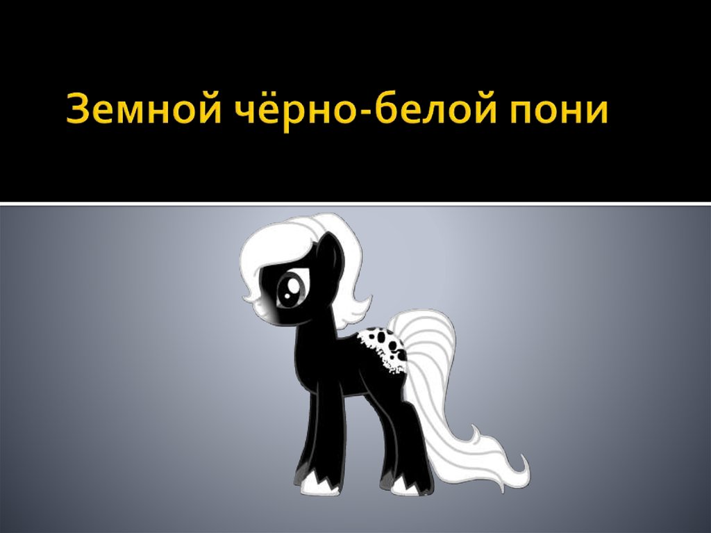 Земной чёрно-белой пони