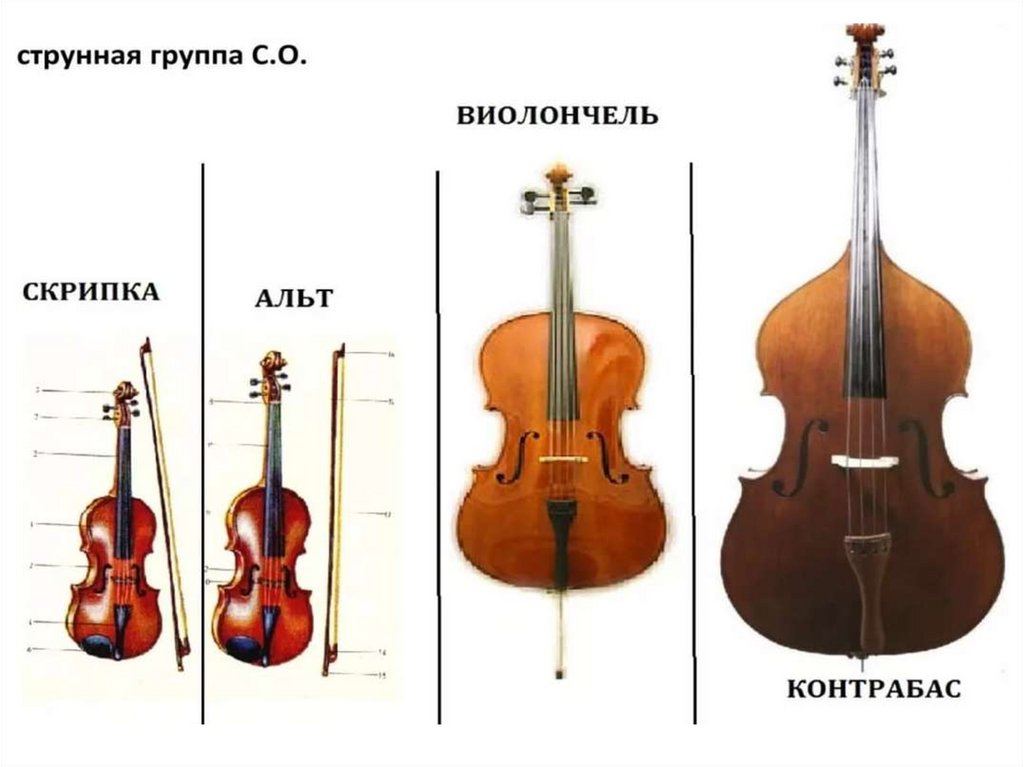 Струнные смычковые музыкальные инструменты картинки