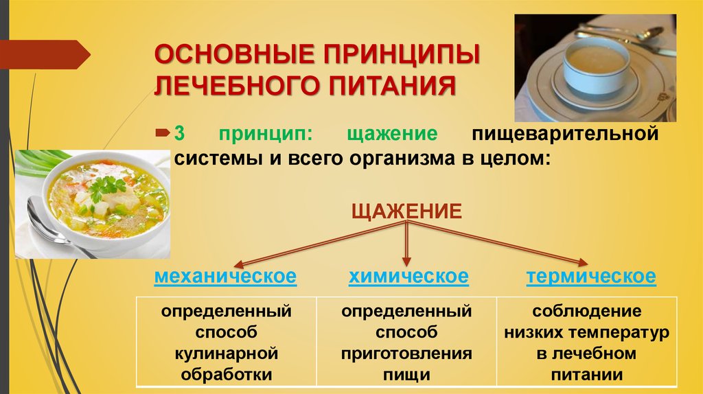 Основные Лечебные Диеты