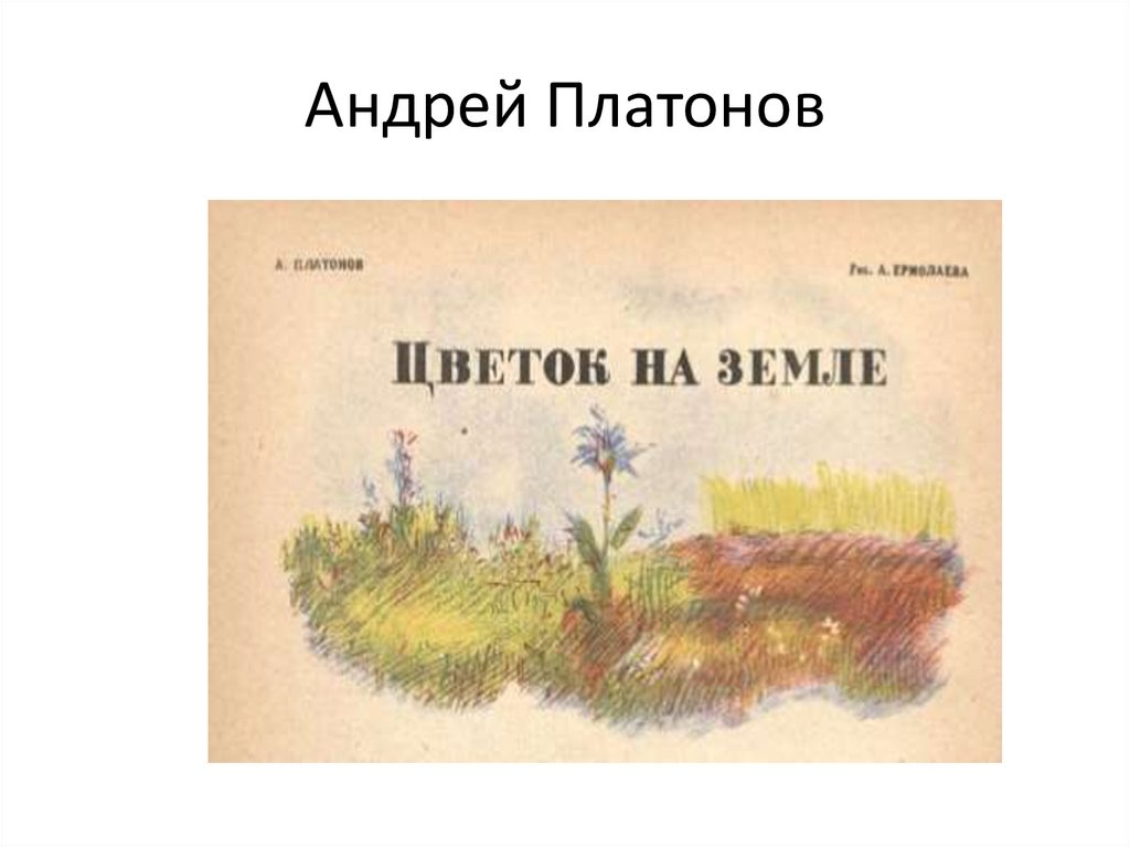 Рисунок по рассказу платонова цветок на земле