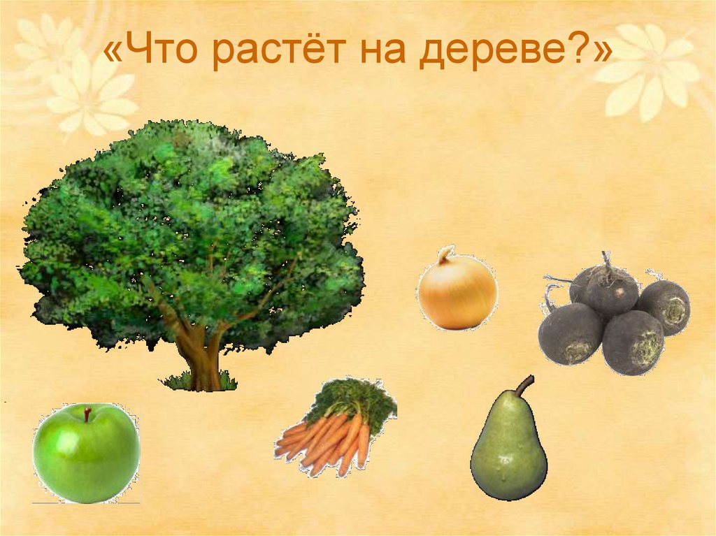 Что где растет картинки для детей