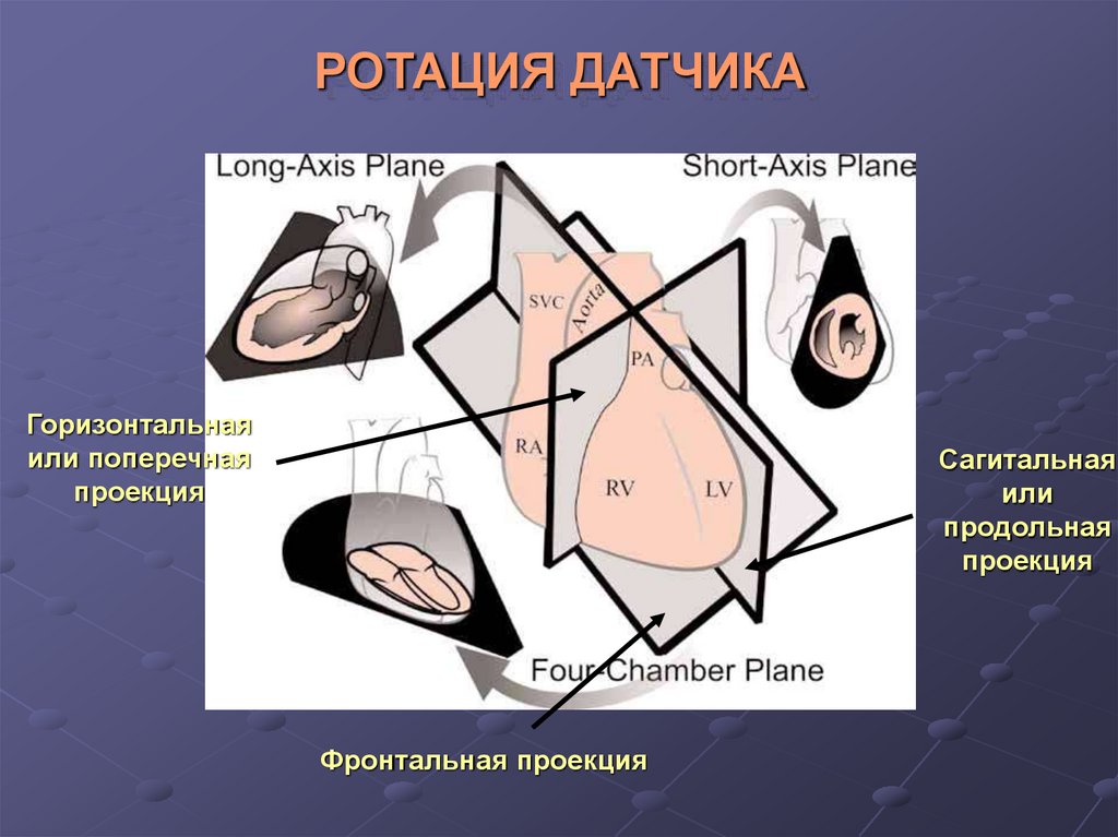 Режим Ротации В Вибраторе Это