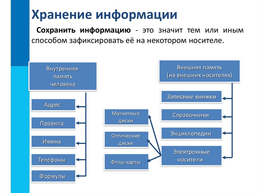 Используете ли вы планы действий при обработке информации на уроках русского языка приведите примеры