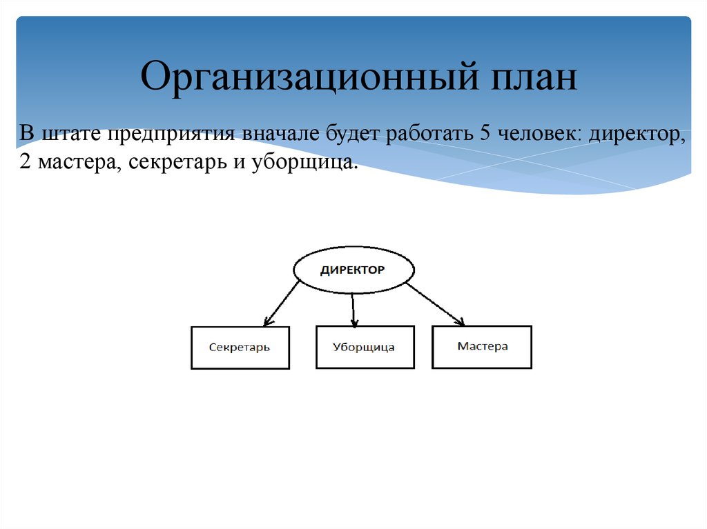 Организационный план содержит сведения о