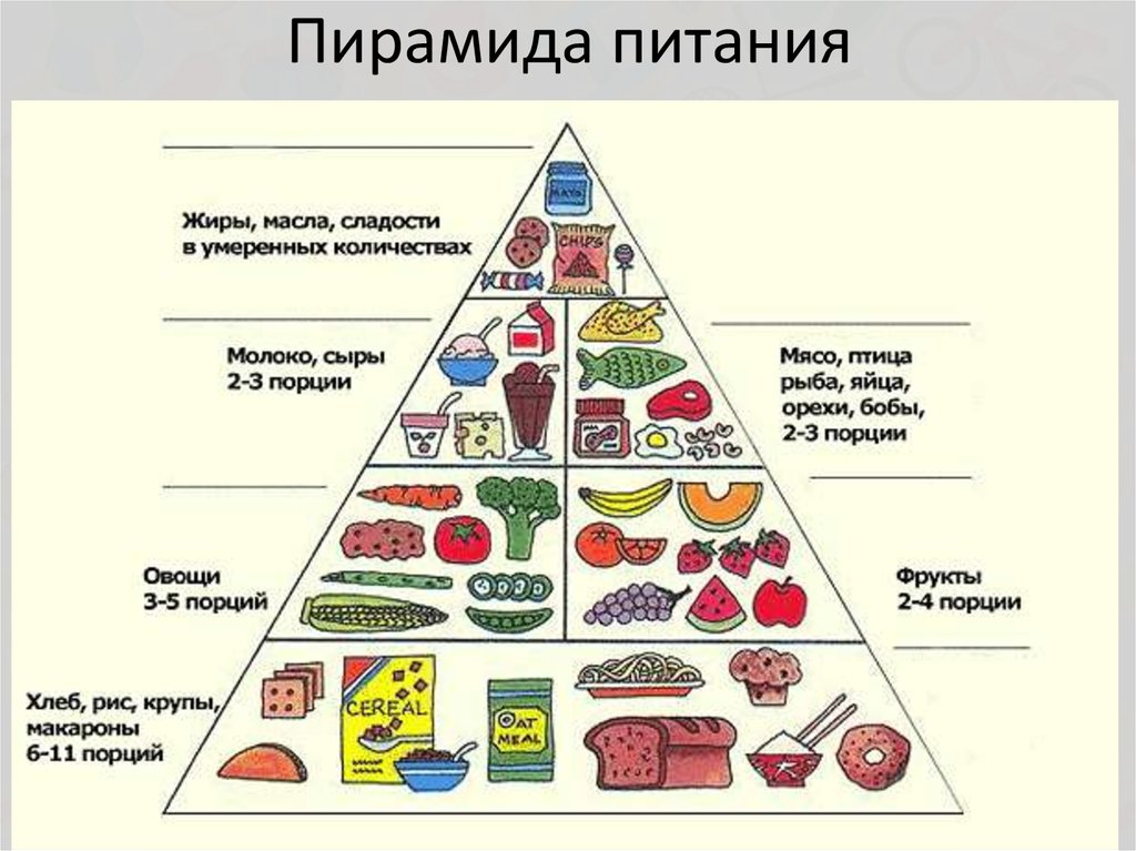 Схема Правильного Питания