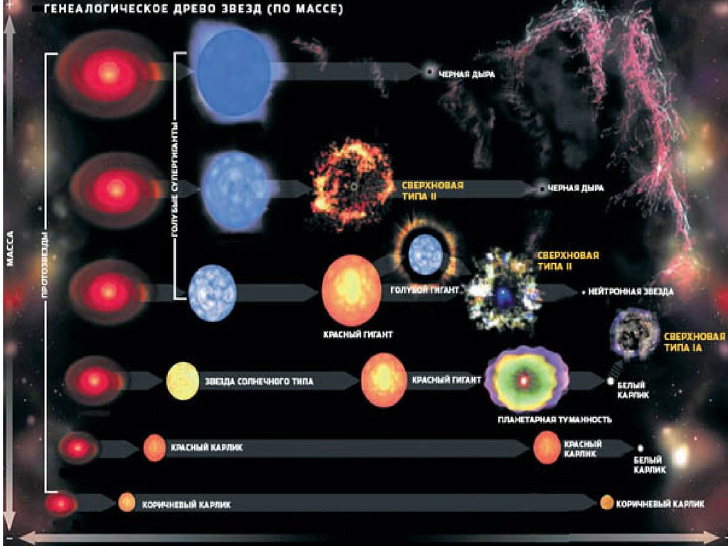 Различные типы звезд и эволюция звезд презентация