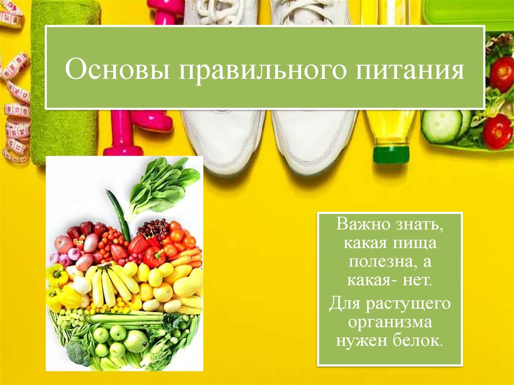 Основы Правильного Питания Новосибирск