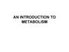 An introduction to metabolism