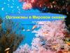 Организмы в Мировом океане. 6 класс