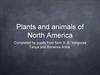 Plants and animals of North America