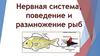Нервная система, поведение и размножение рыб