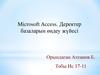 Microsoft Access. Деректер базаларын өңдеу жүйесі