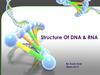 Structure Of DNA & RNA