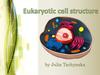 Eukaryotic cell structure