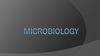 Morphology & structure of microorganisms