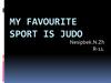 My favourite sport is judo
