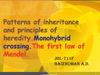 Patterns of inheritance and principles of heredity.Monohybrid crossing.The first law of Mendel