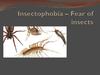 Insectophobia – Fear of insects