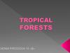Tropical forests