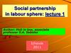 Social partnership in labour sphere: lecture 1
