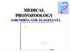 Medical protozoology sarcodina and flagellata
