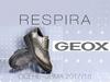 Каталог бренда Geox. Обувь