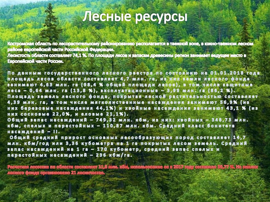 Лесные ресурсы сайт. Лесные ресурсы Костромской области. Недревесные Лесные ресурсы. Недревесные ресурсы леса фото. Количественная оценка лесных ресурсов.