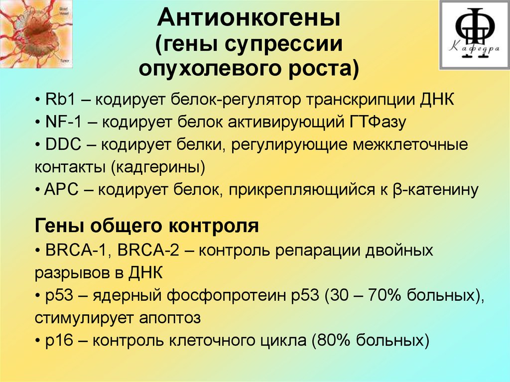 Патофизиология опухолевого роста презентация