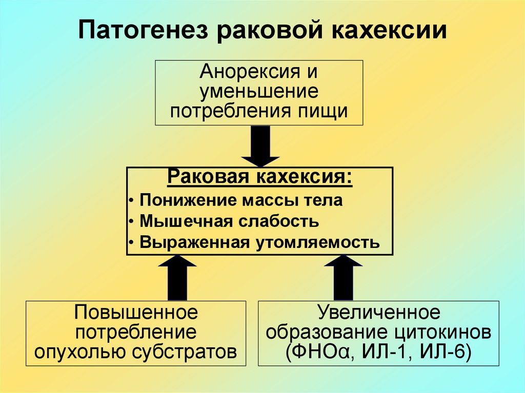 Патофизиология опухолевого роста презентация